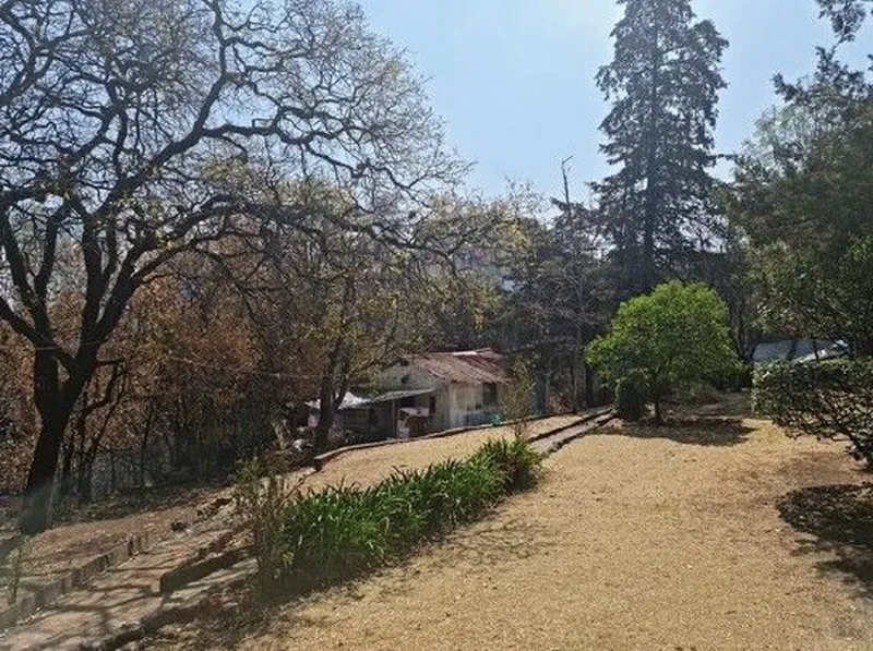 Foto 5