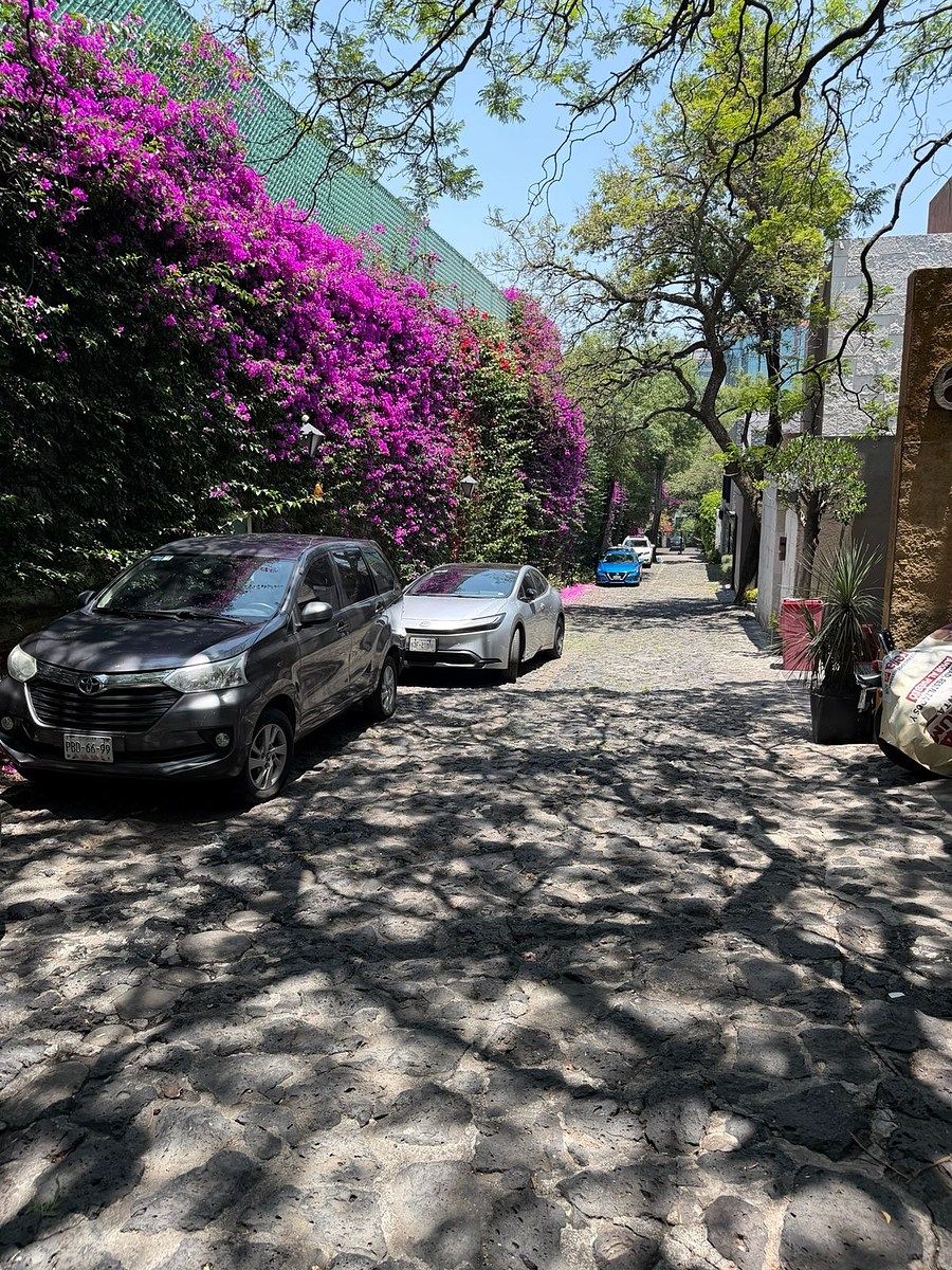Casa en renta · San Jerónimo Lídice, La Magdalena Contreras, Ciudad de México
