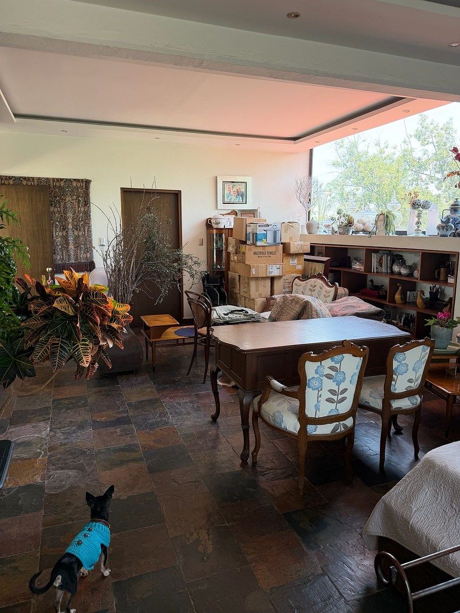 Foto 7