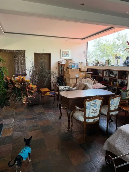 Foto 7