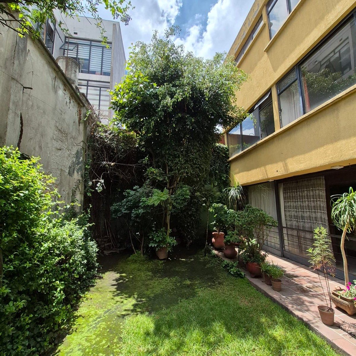 Foto 17