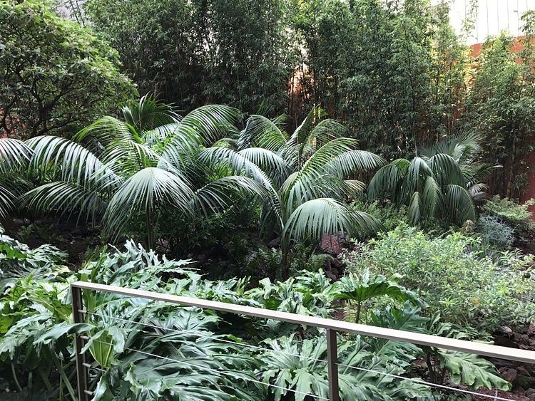 Foto 6