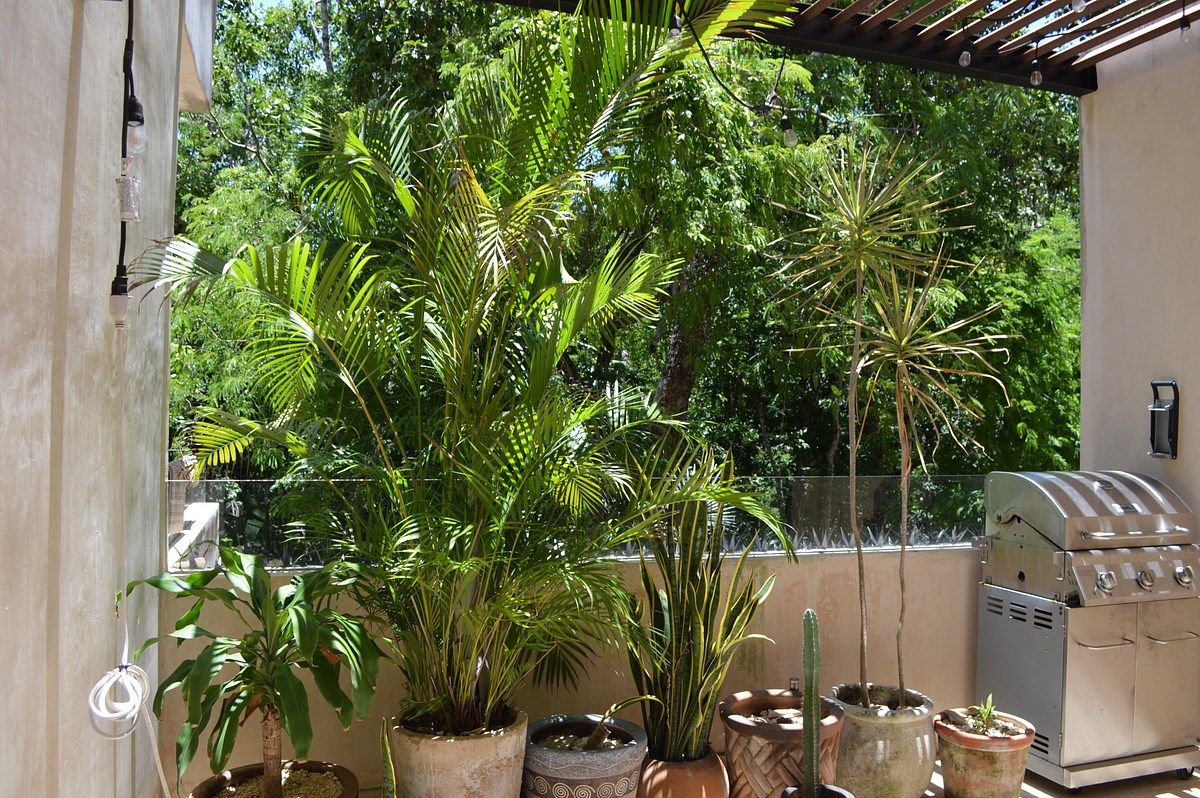 Foto 6