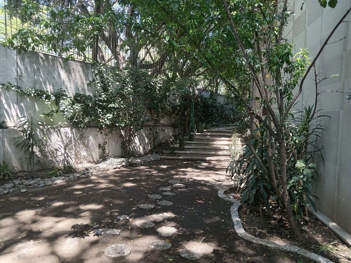 Foto 42