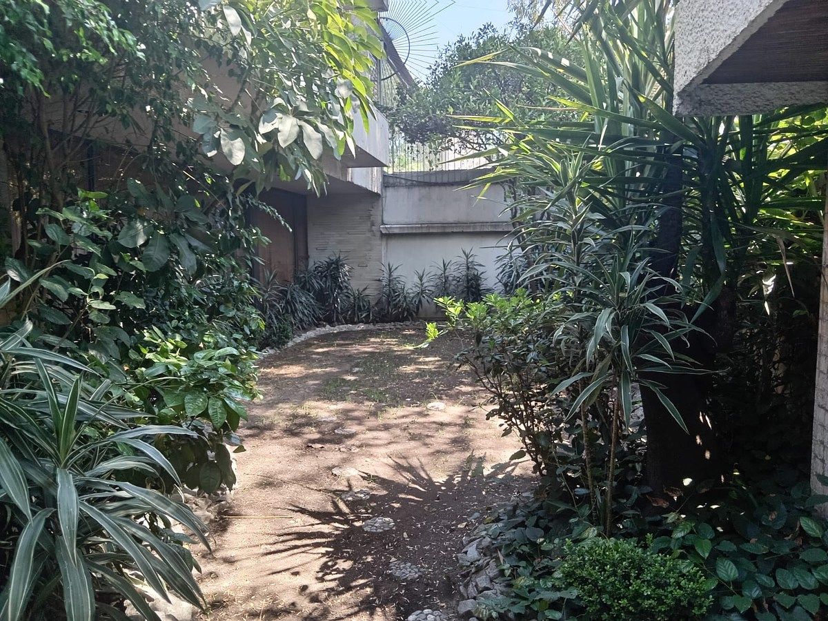 Foto 19