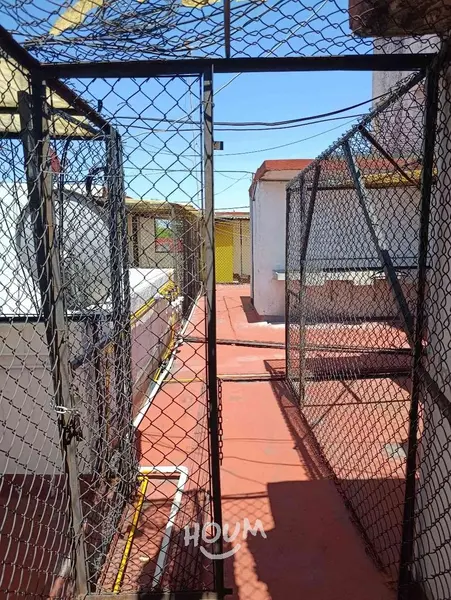 Foto 61