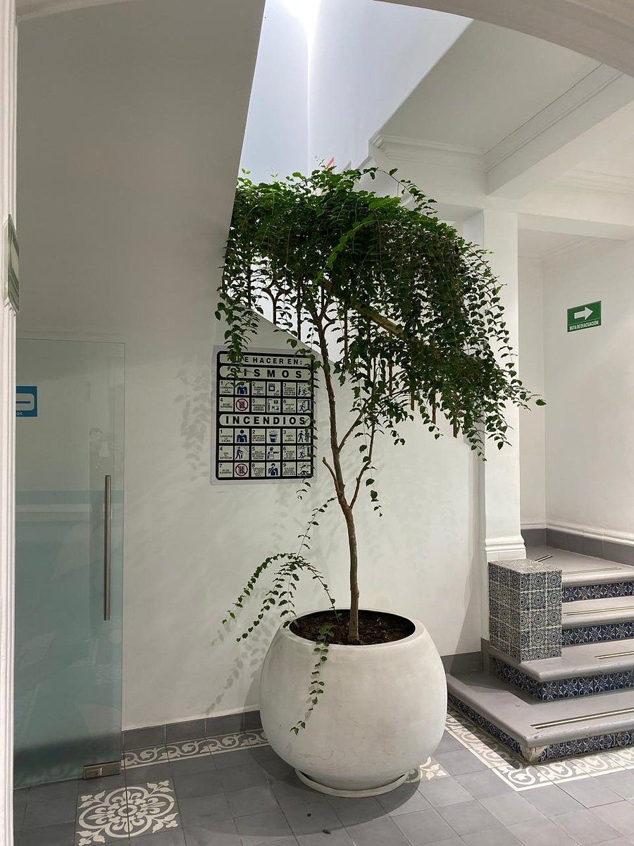Foto 7