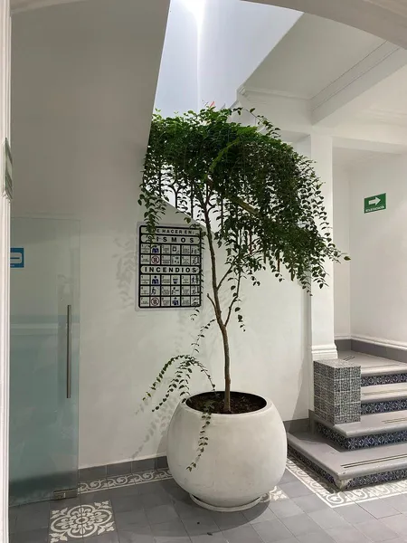 Foto 7