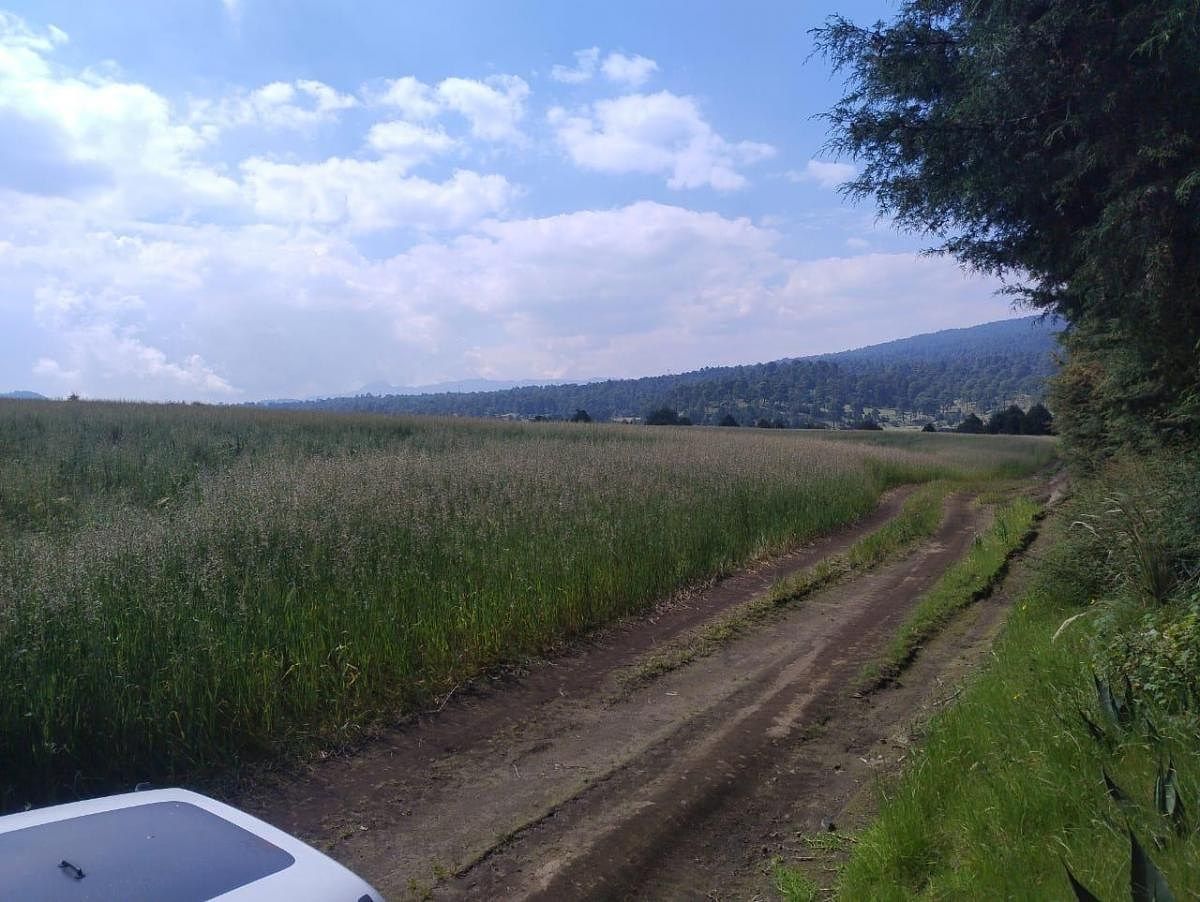 Foto 15
