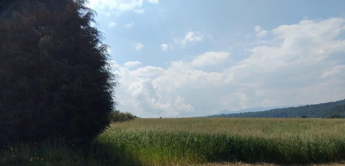 Foto 12