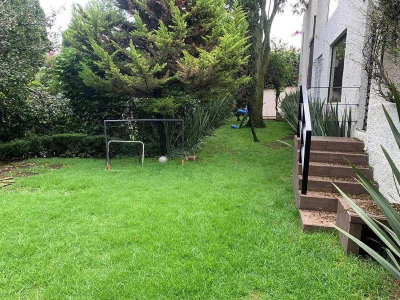 Foto 19
