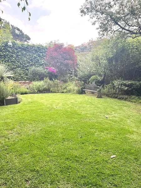 Foto 14
