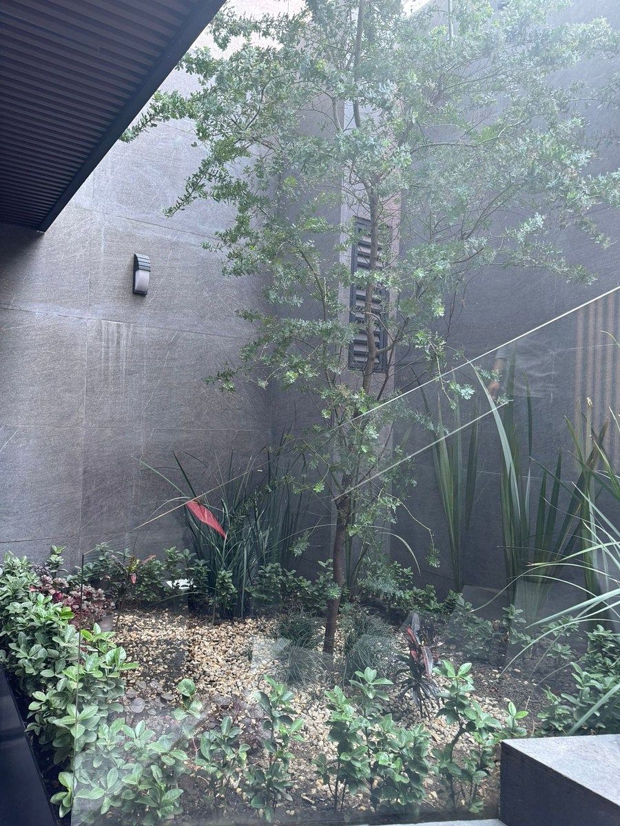 Foto 11