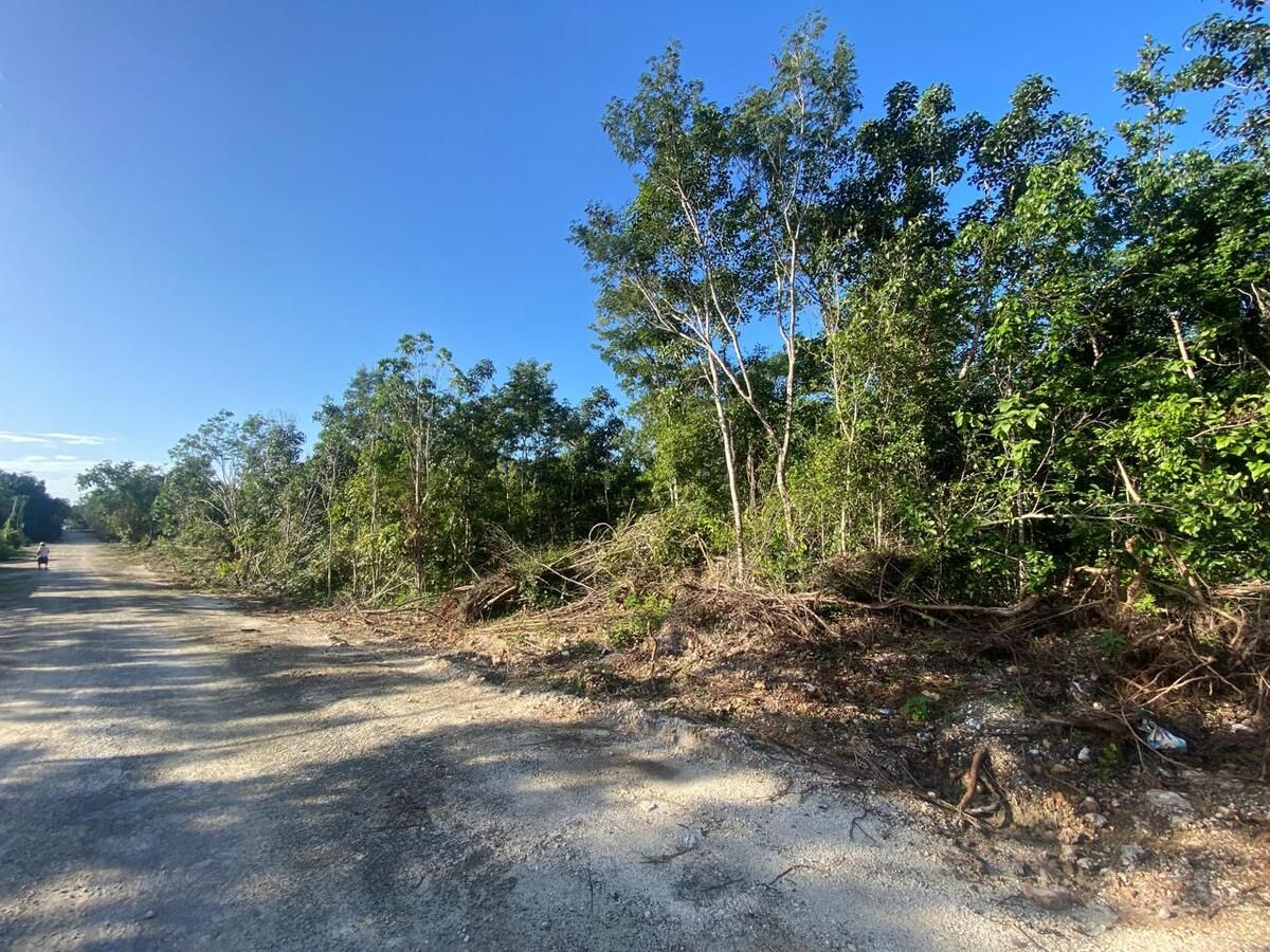 Lote en venta · Supermanzana 117, Benito Juárez, Quintana Roo