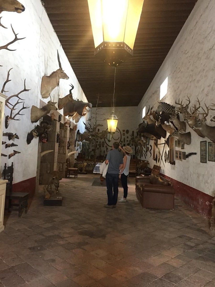 Foto 6