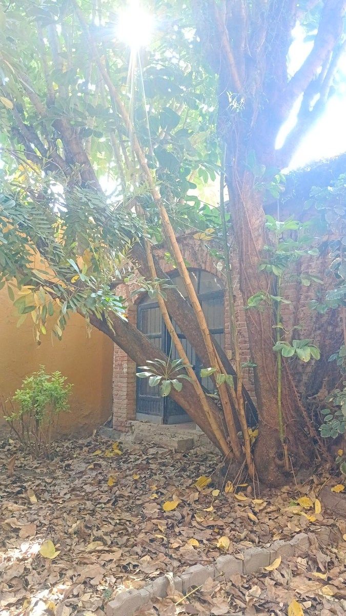 Foto 31