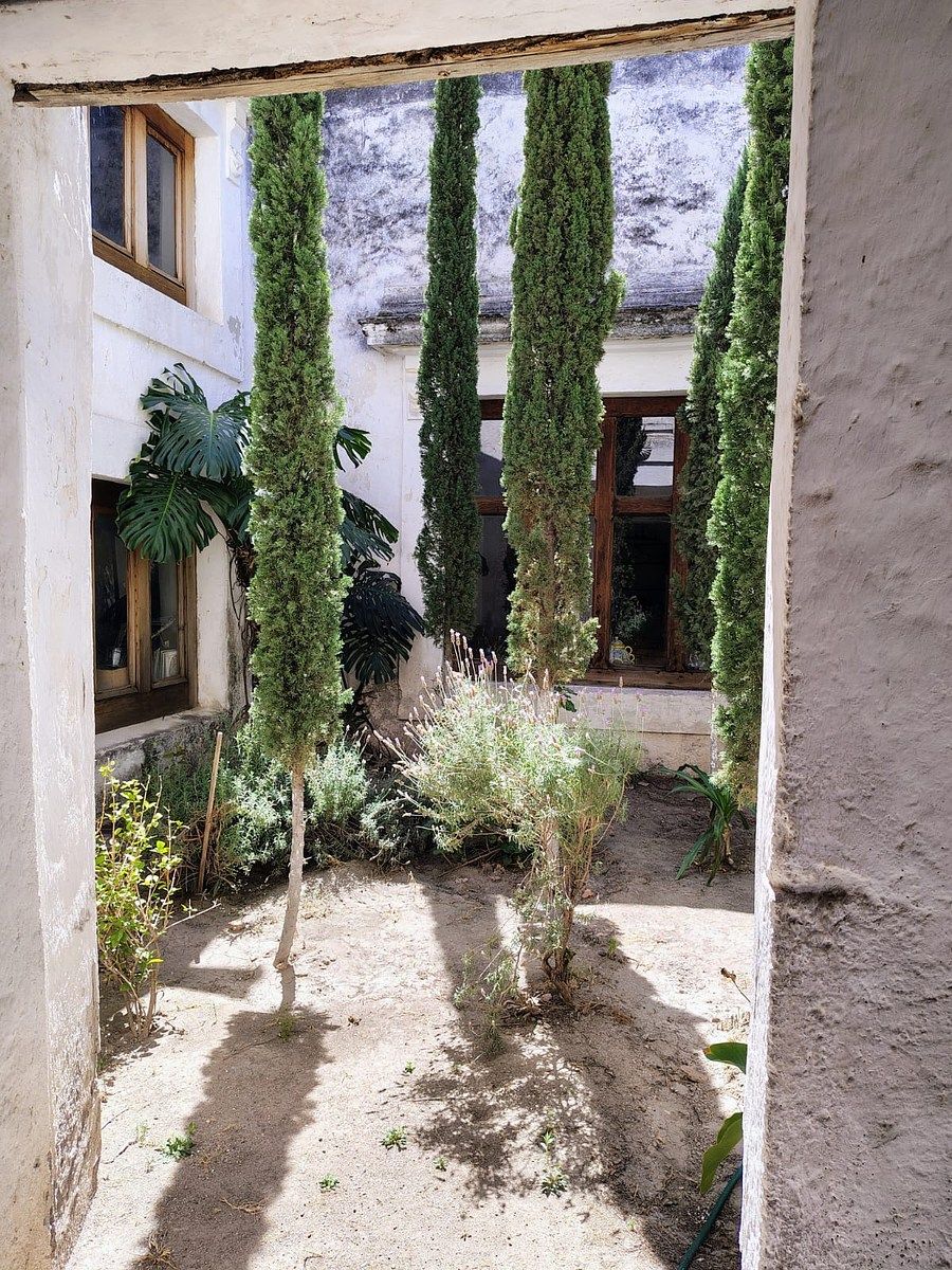 Foto 7