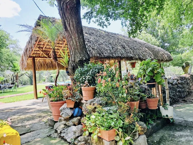 Foto 5