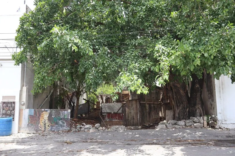 Lote en venta · Luis Donaldo Colosio, Solidaridad, Quintana Roo