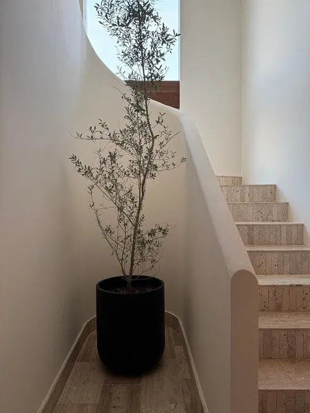 Foto 25