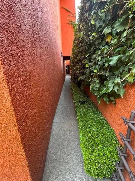 Foto 31