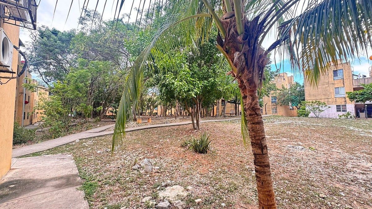 Foto 12