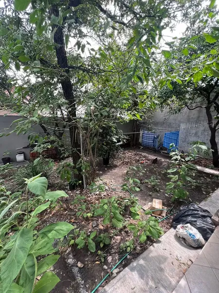 Foto 15