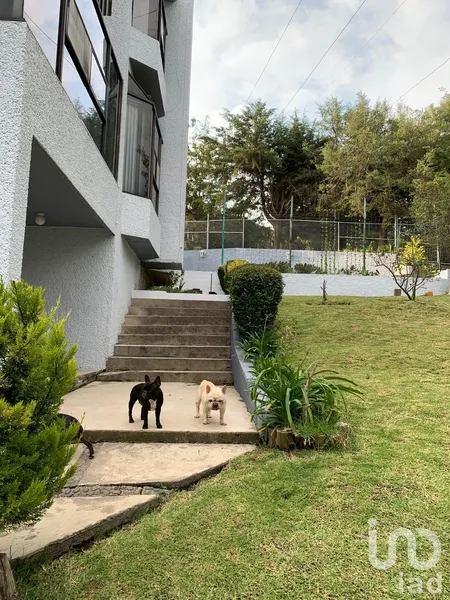 Foto 17