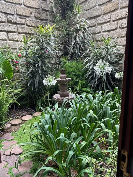 Foto 13