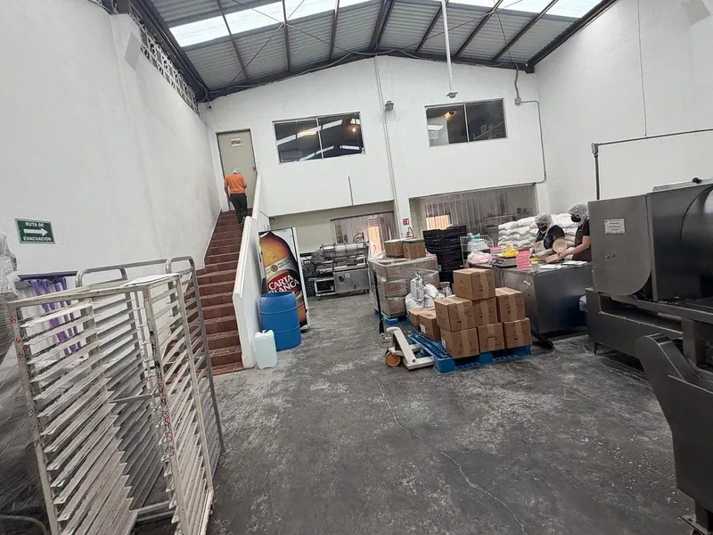 Foto 7