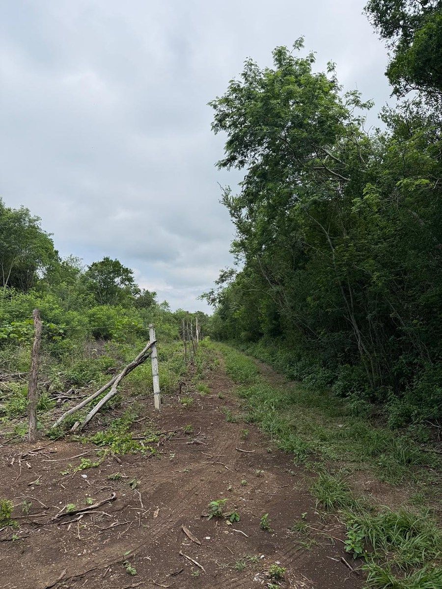 Lote en venta · Residencial San Mateo, San Pedro Garza García, Nuevo León