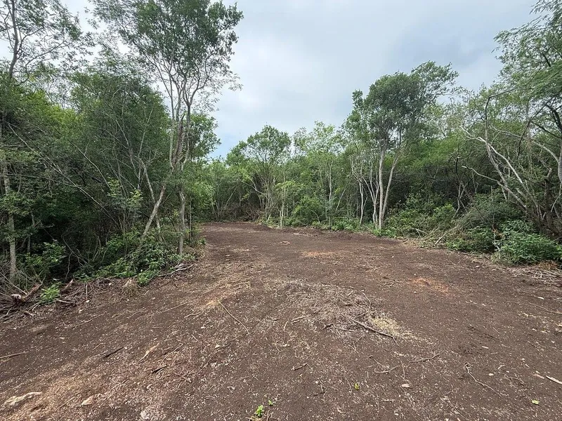 Lote en venta · Residencial San Mateo, San Pedro Garza García, Nuevo León