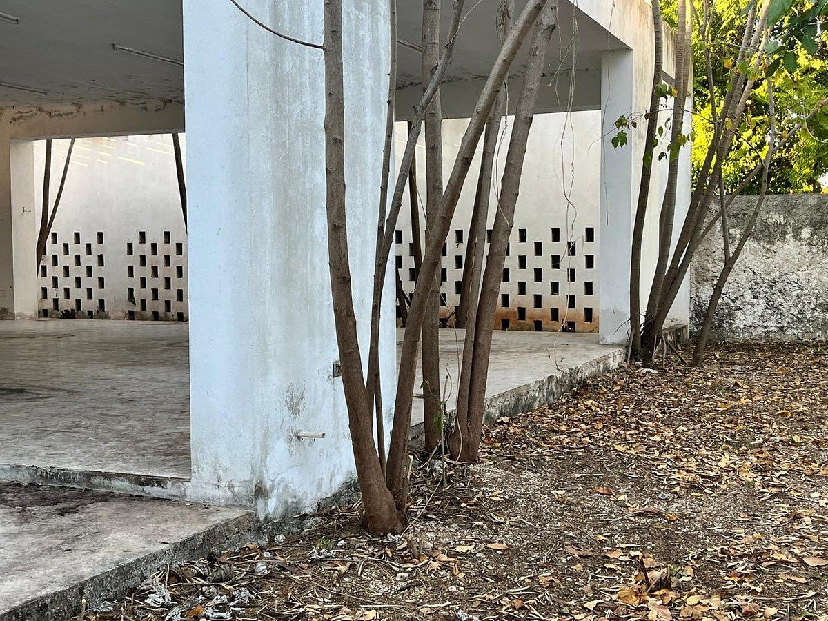 Foto 19