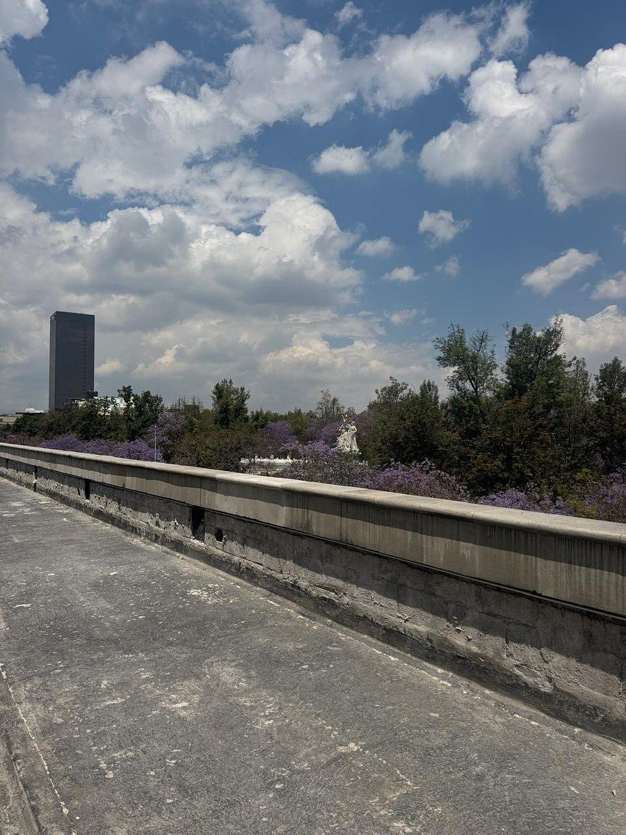 Comercio en renta · Centro (Área 1), Centro, Cuauhtémoc, Ciudad de México Comercio en renta · Centro (Área 1), Centro, Cuauhtémoc, Ciudad de México