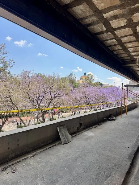 Comercio en renta · Centro (Área 1), Centro, Cuauhtémoc, Ciudad de México