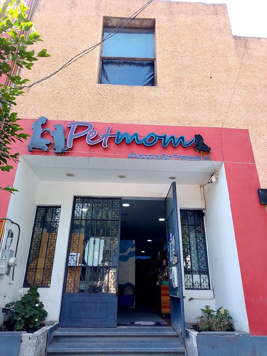 Foto 13