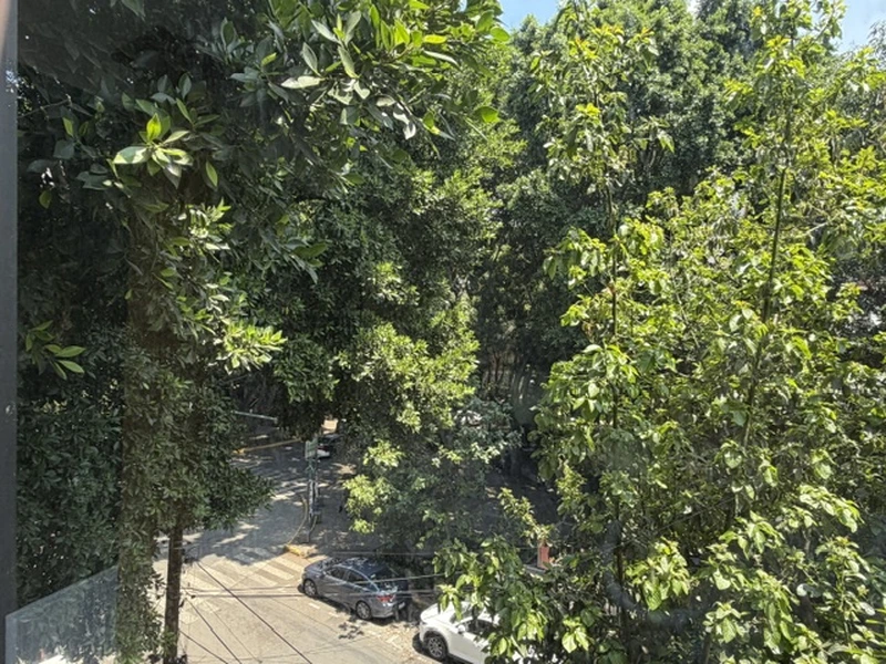 IMG_1611.jpeg
