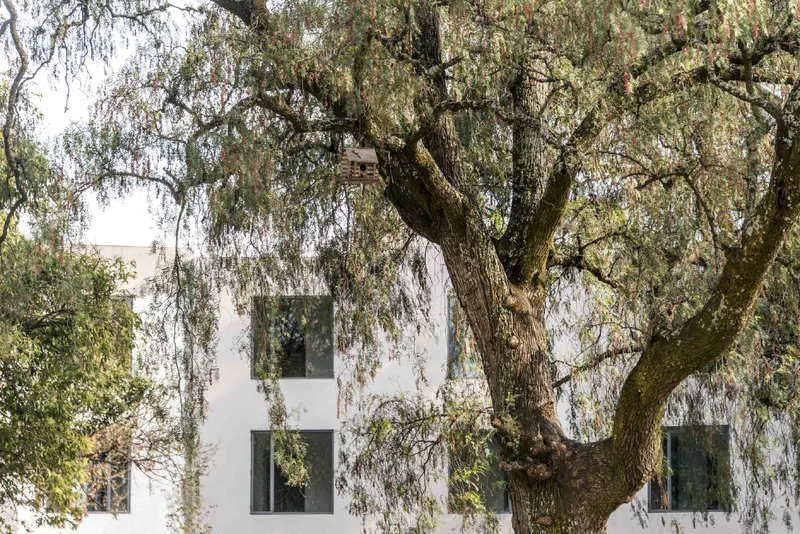 8Casa Oficina Lote 9.jpg
