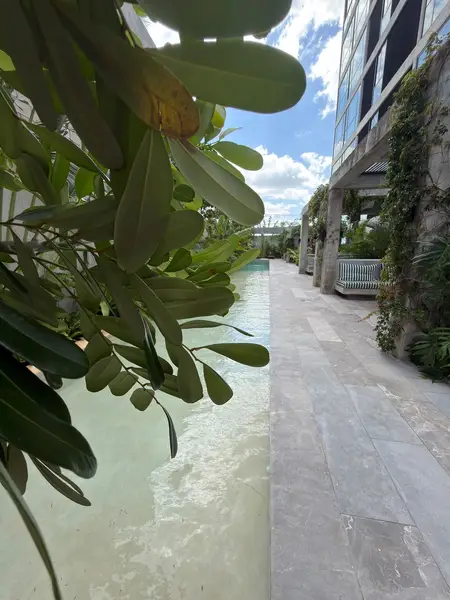 Departamento en renta · Santa Gertrudis Copo, Mérida, Yucatán