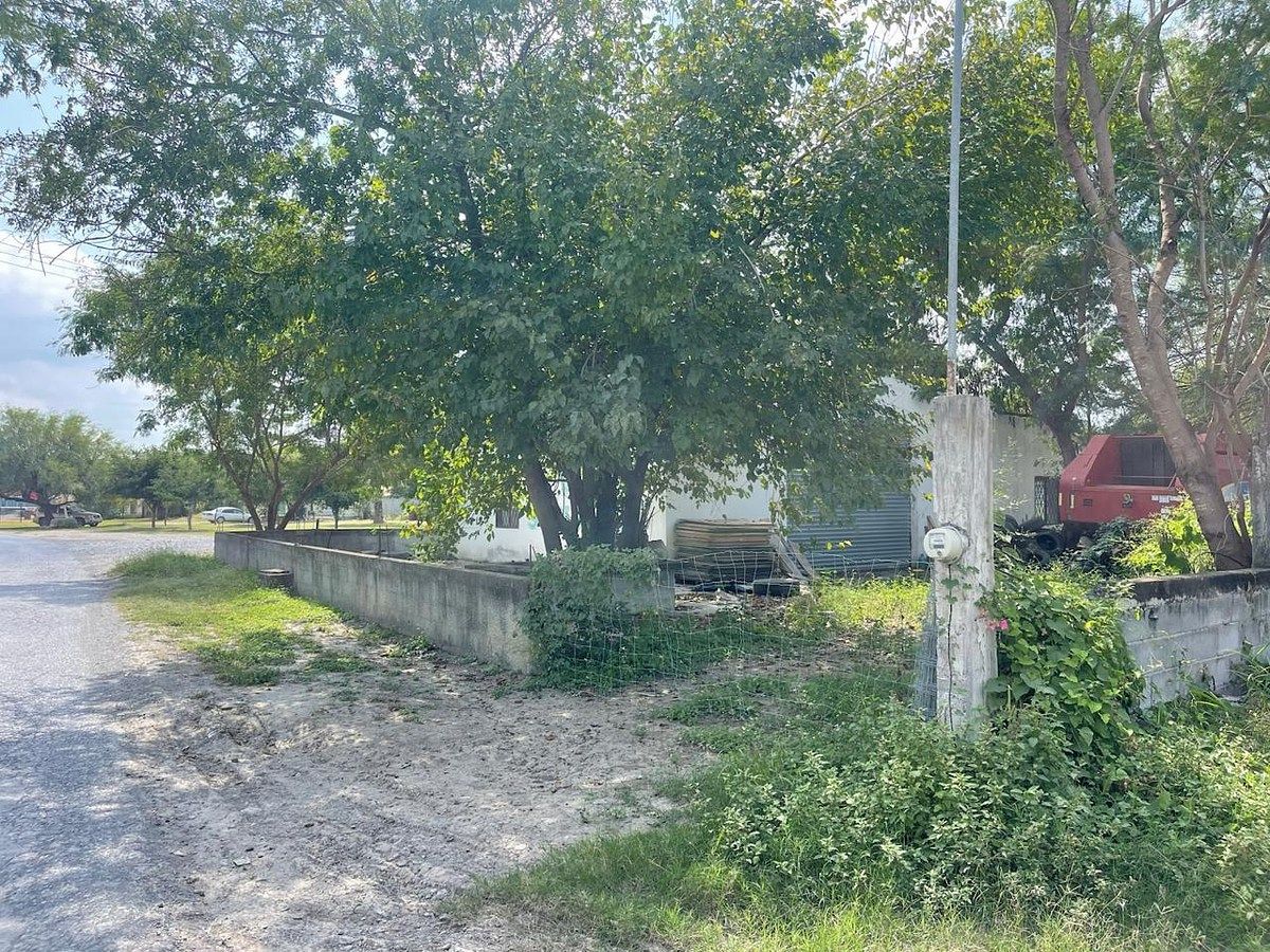 Foto 15