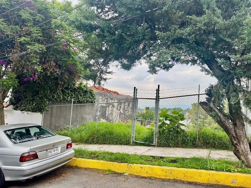 Foto 6