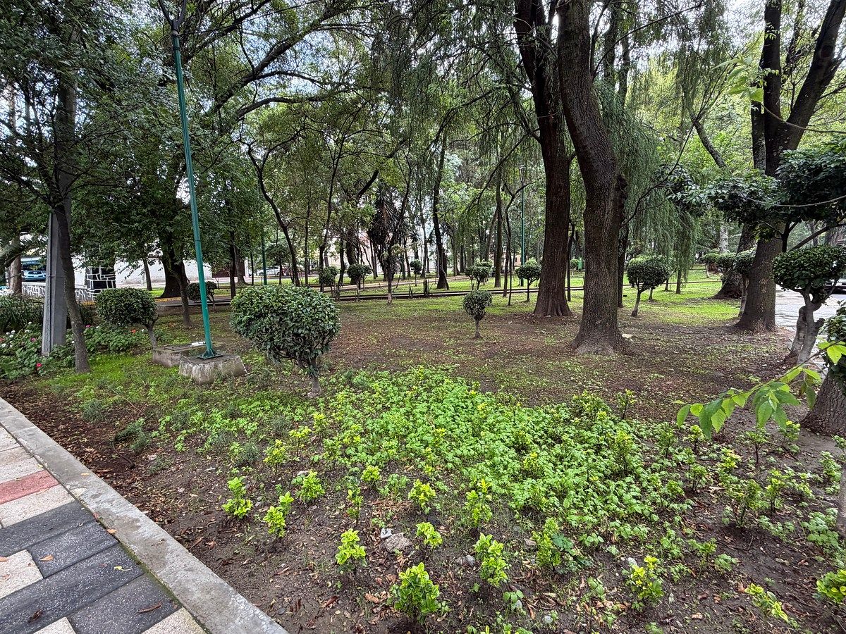 Foto 21