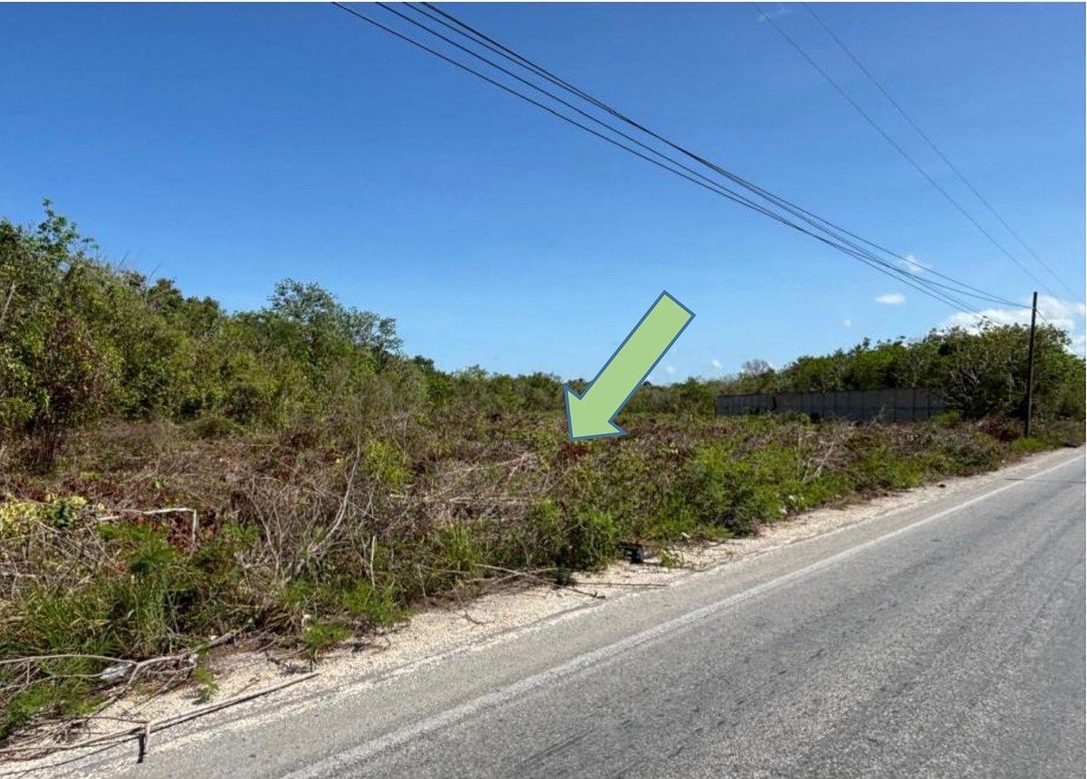Lote en renta · Alfredo V Bonfil, Benito Juárez, Quintana Roo