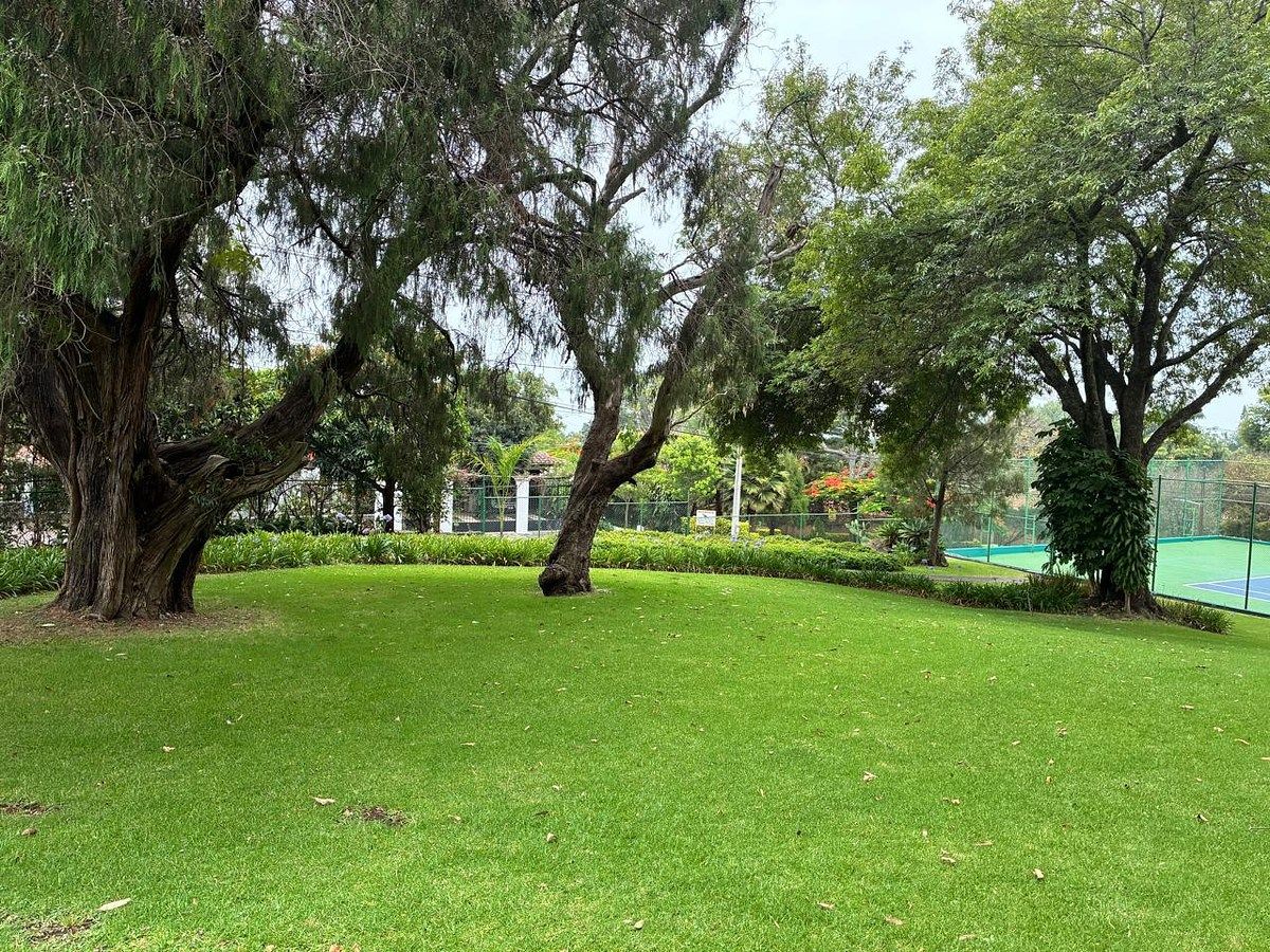 Foto 18