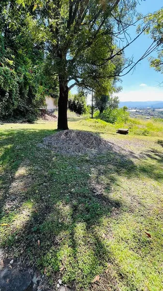 Lote en venta · Los Limoneros, Cuernavaca, Morelos