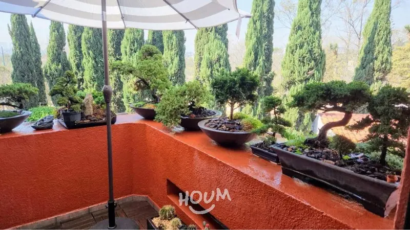 Foto 42