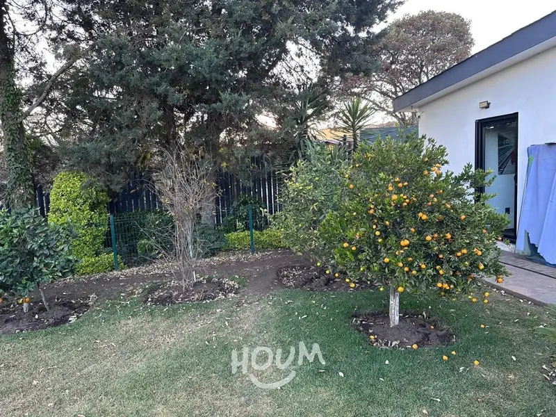 Foto 42