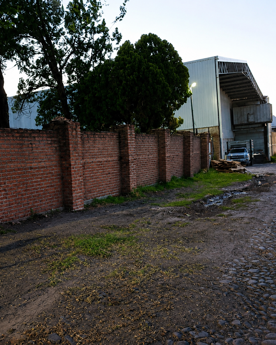 Foto 6