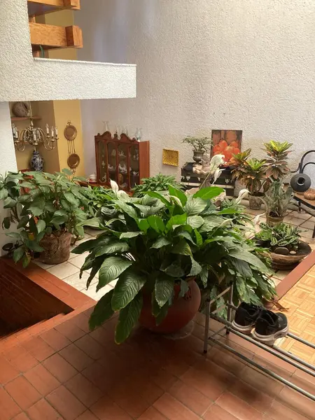FOTO 4.jpg