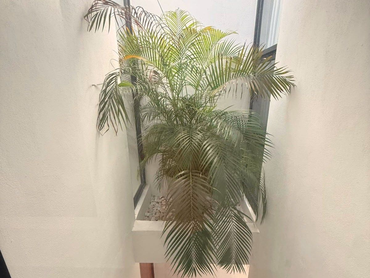 Foto 12